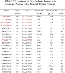 Sars cov 2 peptides 