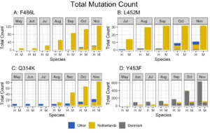 covid mutations