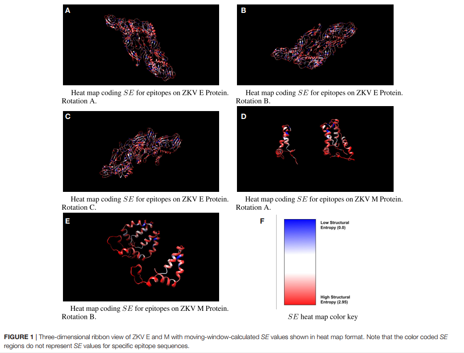 An Approach for a Synthetic CTL Vaccine