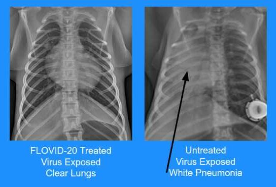 <h2>Vaccination by Inhalation</h2>